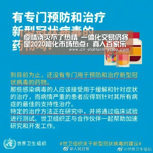 真人百家乐