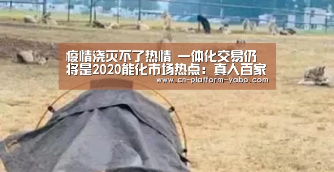 真人百家乐