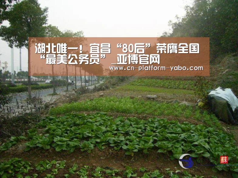 亚博体育官网