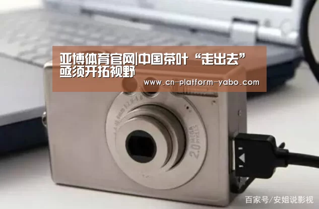 真人百家乐